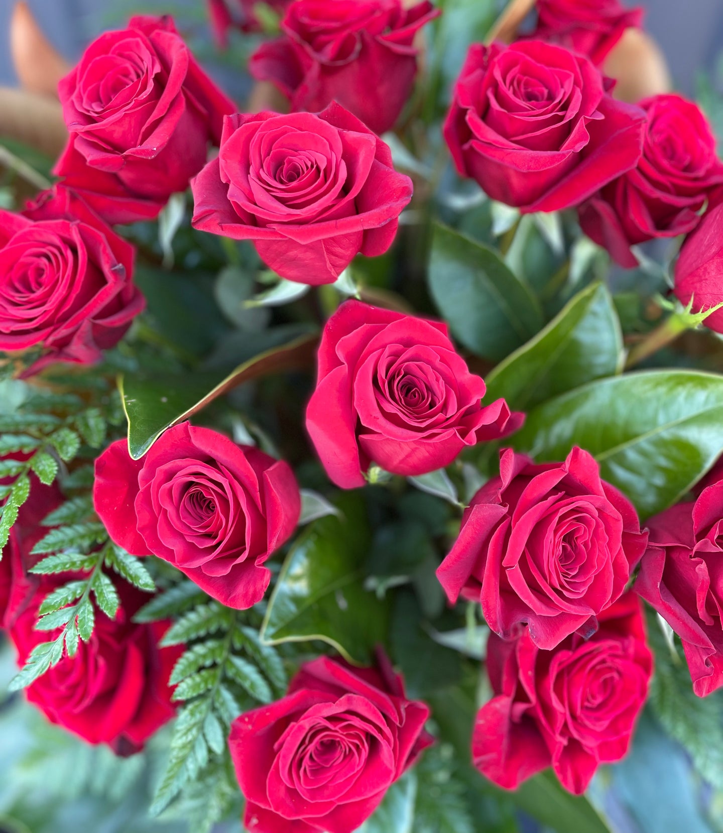 21 Long Stem Roses In Vase